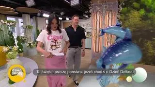 Dziś obchodzimy Dzień Delfina (napisy)