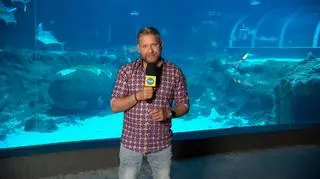 Nie masz planów na długi weekend? W łódzkim ZOO znajdziesz atrakcje dla dzieci i dorosłych