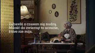 Pies to nie prezent, kampania Doliny Noteci 