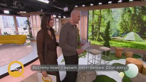 Klatka kluczowa-397309