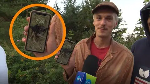 Tapety w telefonach - piesek robi kupkę :))
