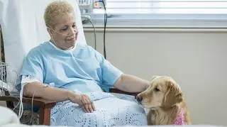 Tęsknisz za swoim zwierzakiem podczas pobytu w szpitalu? "To nie fanaberia. To element godności pacjenta"