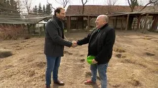 Piotr Galiński odkrywa tajemnice kur. "Wcale nie są głupie"