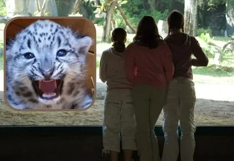 Warszawskie zoo ma nowego lokatora. "Oto Jego Puchatość"