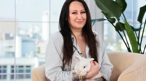Króliki czekają na adopcję