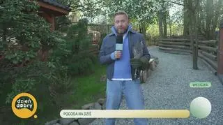 W świecie zwierząt 