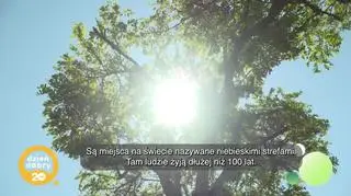 Pani Teresa Wójcik skończyła 108 lat! - napisy