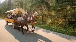 Elektryczne busy trafią na trasę do Morskiego Oka