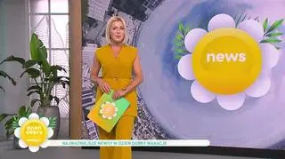 Najważniejsze newsy w “Dzień Dobry Wakacje”  