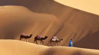 Sahara i jej tajemnice
