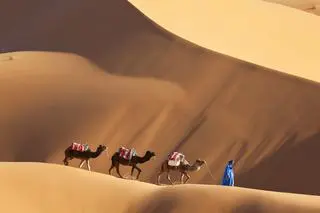 Sahara i jej tajemnice