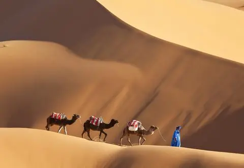 Sahara i jej tajemnice