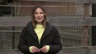 "Inspirujące kobiety" Monika Czarzasta Fundacja Kraina Zwierząt