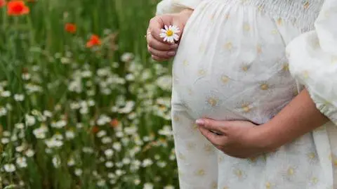 Rumianek w ciąży – jakie dawki są bezpieczne dla matki i dziecka?