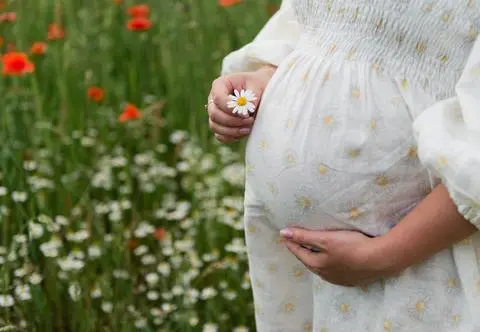 Rumianek w ciąży – jakie dawki są bezpieczne dla matki i dziecka?