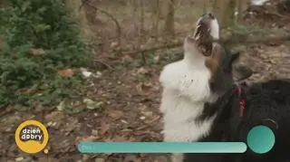 Ewa Drzyzga – prawdziwa twarz dziennikarstwa