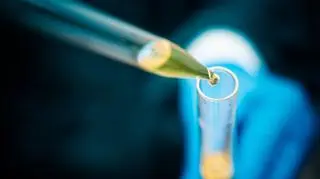 Ogłoszono laureatów Nagrody Nobla w dziedzinie chemii 2025