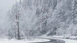 Pogoda na poniedziałek. Zimno, ślisko i wietrznie. Są alerty IMGW
