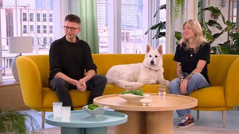 Jak psy troszczą się o swoich opiekunów? 