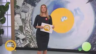 Najważniejsze newsy w DDTVN 