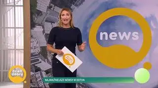 Najważniejsze newsy w DDTVN