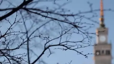 DD_20250422_Jungla_rep_napisy