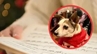 Kolędowanie z pupilami