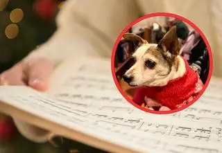 Wierni kolędowali w kościele razem ze swoimi pupilami. "Przyjechali z wielu miejsc"