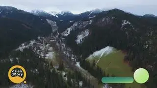 Gdy widzę kozice to kwiczę - napisy 