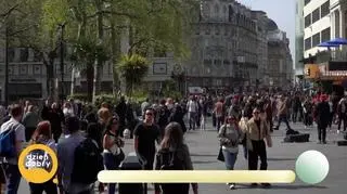 Największa fanka premier filmowych - napisy