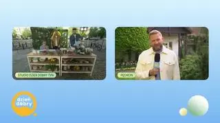 Kto rano wstaje, temu gofra Bartek daje