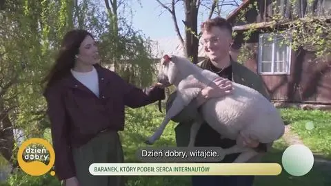 Klatka kluczowa-381501