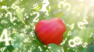 Numerolgiczna ilustracja