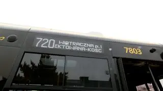 Fenomen najdłuższej linii autobusowej w Polsce