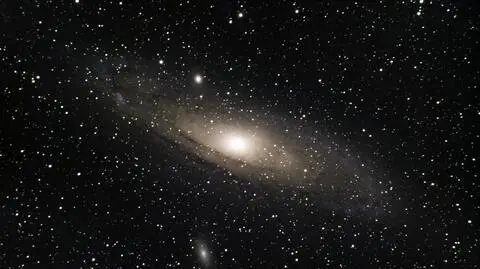Horoskop dzienny na czwartek, 28 listopada 2024 r