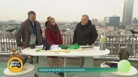 Klatka kluczowa-50522