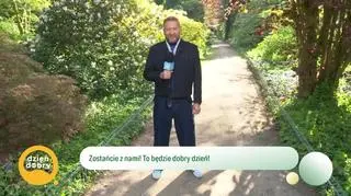 W Rogowie wiosna rozkwita! Magiczne arboretum 