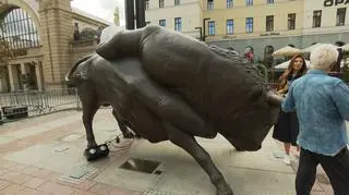 Katowice. W mieście stanął ogromny byk z brązu