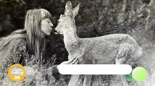 Remont ukochanego malucha Simony Kossak - napisy