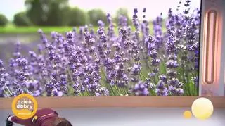 Deska... kiedy chwila trwa wieczność 