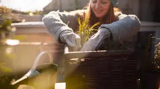 Marzy Ci się balkon pełen kwiatów w październiku? To możliwe i podpowiadamy, jak to zrobić