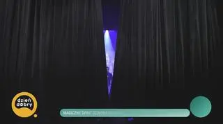 Magiczny świat “Dziadka do orzechów” 