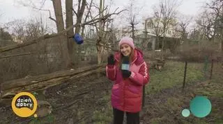 Czy zwierzęta poczuły już wiosnę? 