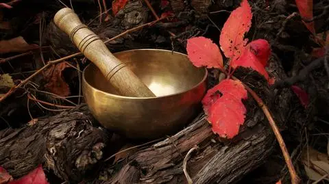 Jesienna praca z czakrami. Nad którymi warto się teraz pochylić?