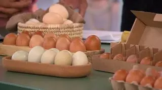 Nie chcesz jeść jajek z antybiotykami? Sprawdź, na co musisz zwrócić uwagę. "Nie możemy truć ludzi"