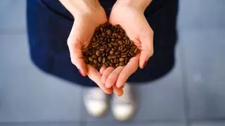 Kawa speciality - co wyróżnia ją od innych ziaren kawy?