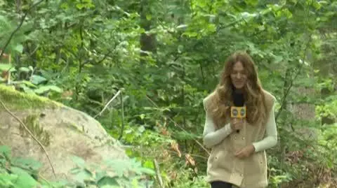 DD_20230922_Pogoda_REP