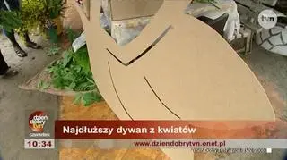 Pierwsza wizyta Małgorzaty Rozenek-Majdan w studiu Dzień Dobry TVN