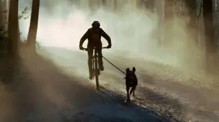 Polka mistrzynią świata w bikejoringu