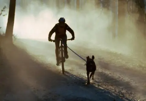 Polka mistrzynią świata w bikejoringu